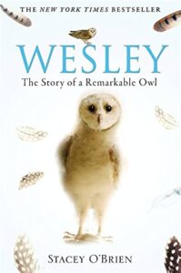 Review of Wesley the Owl: The Remarkable Love Story of an Owl and His Girl