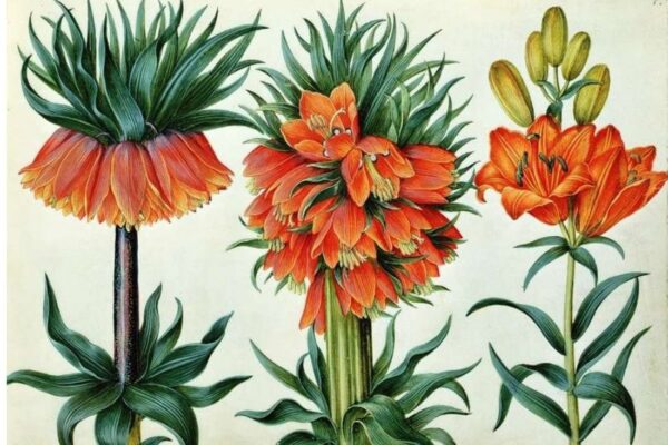 How to Use Flowers and Leaves for Painting: Being Creative with Botanicals in Art