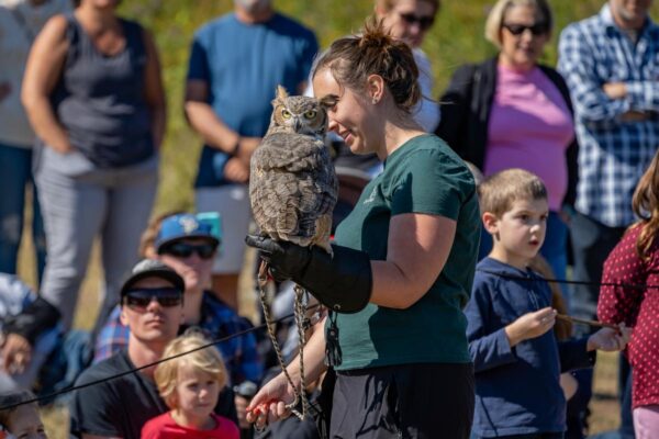 Training Educational Raptors